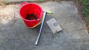Soil sampling...this is an activity my students will complete this year.
