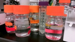 Photograph of bottles and vials of solutions in a lab
