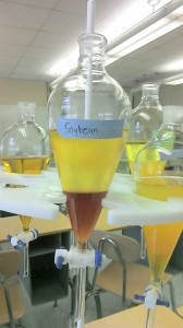 Crude biodiesel from soybean oil