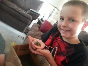 My boy and his grandfather found a little turtle this weekend, which later we returned to a nearby pond.