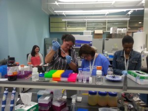 Team Dirt working in the Genomics Lab