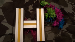 I made it!!! With help from Cody and Kevin of course ;)