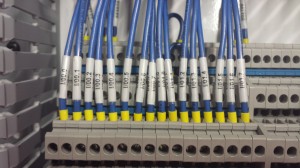 See how neat and organized these guys are!