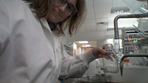 I'm cleaning the bottles that hold the media mixtures for the cells that the scientists at Biogen are growing.