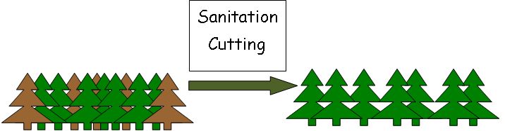 Sanitation Cutting image