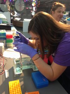 Grace is carefully filling the well with our DNA sample next to our ladder sample. You only put one microliter of ladder and only four microliters of DNA/dye. 