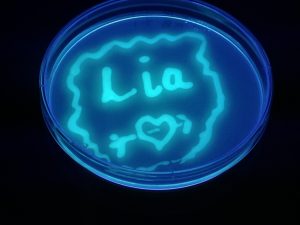Using florescent bacteria, I wrote my name...and it came out well!!! Yay. Go me!