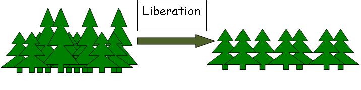 Liberation graphic