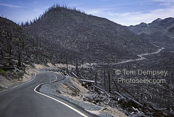 Mt. Saint Helens deforestation image