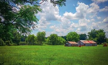 A beautiful landscape of a rural farm in North Carolina.