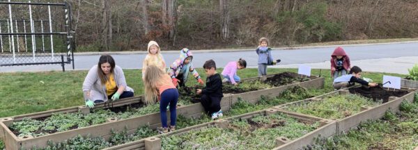Students plant a school garden.