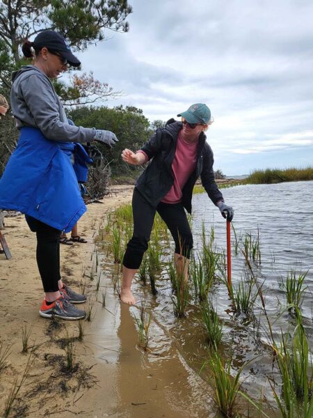 Mountains to Sea Scholars test water quality on the North Carolina coast.