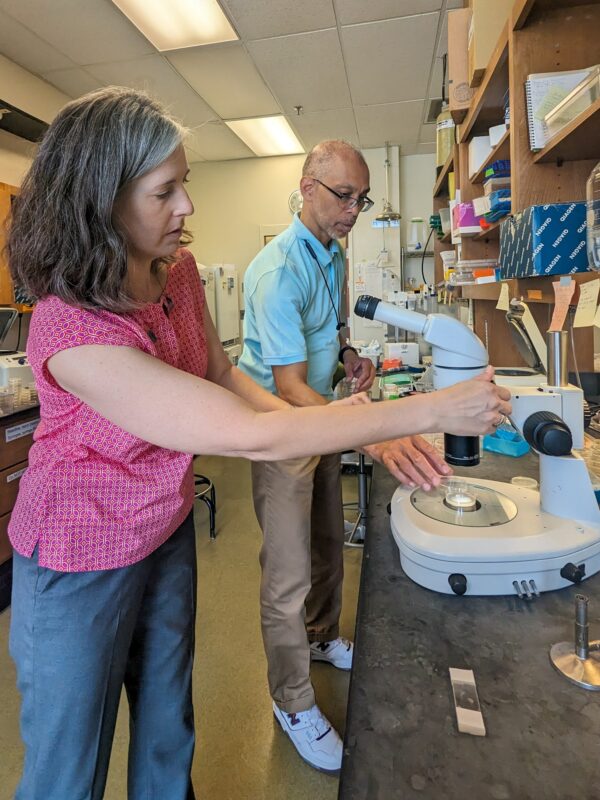 Kenan Fellow Edwin Davis works in a lab at UNC-Chapel with his host organization mentor, Amy Maddox. 
