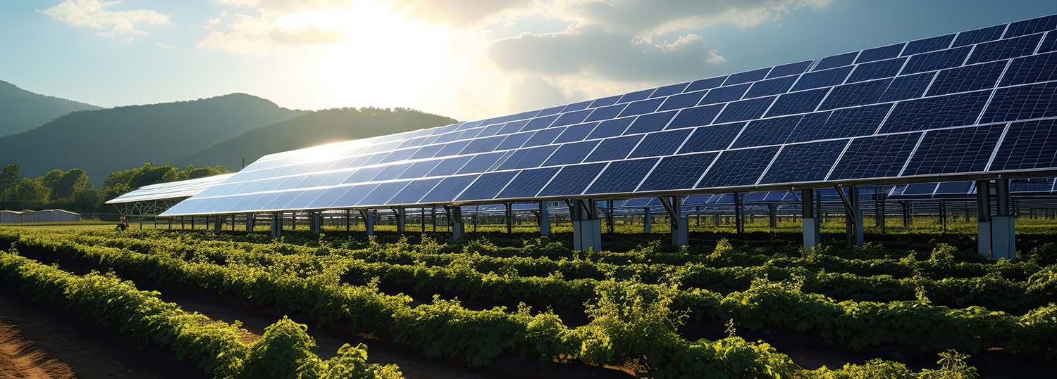 AI image of a solar farm.