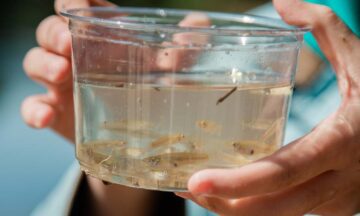 A students holds a container of Shad fry to be released in the Neuse River during an immersive learning STEM lesson.