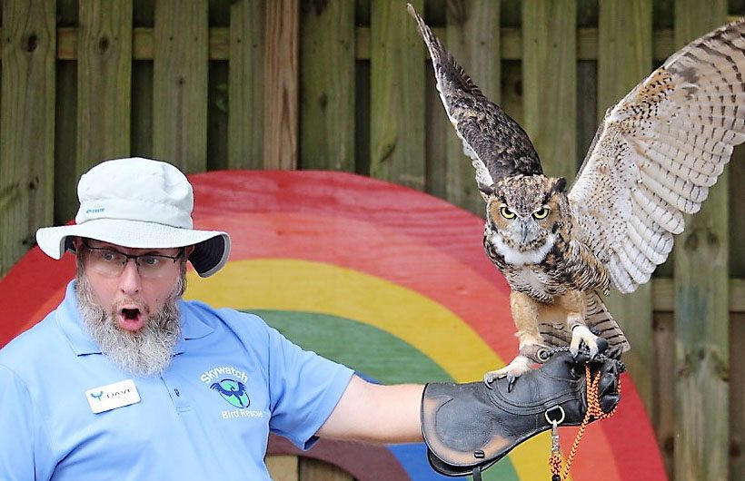 Image of David Glenn handling a raptor.