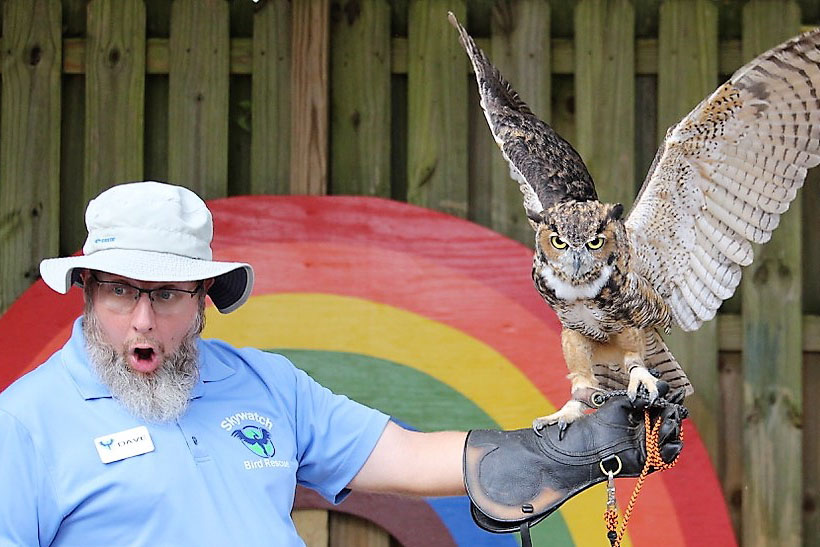 Image of David Glenn handling a raptor.