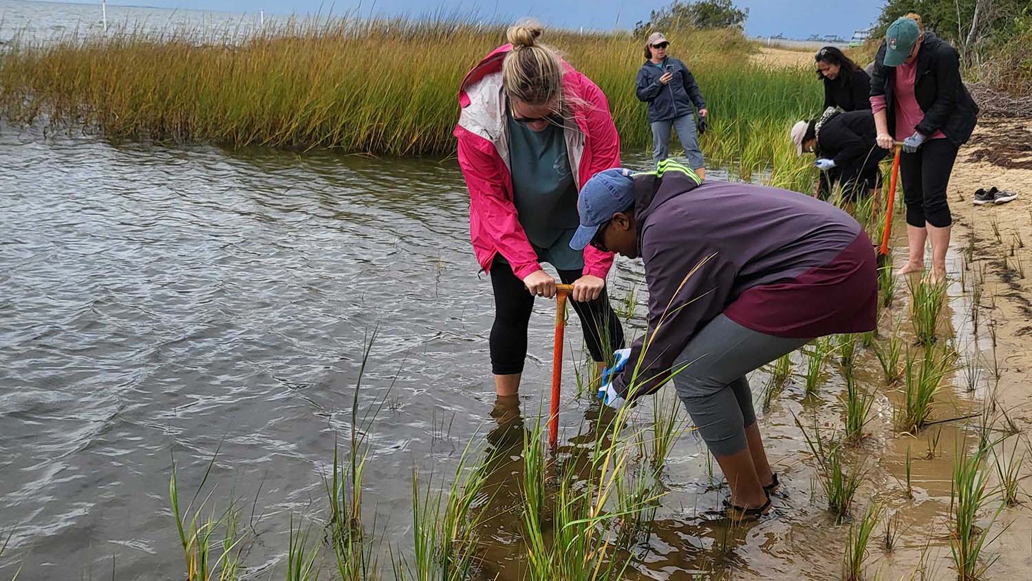 Educators in our Mountains to Sea professional development institute conducted a water quality activity on the North Carolina coast.