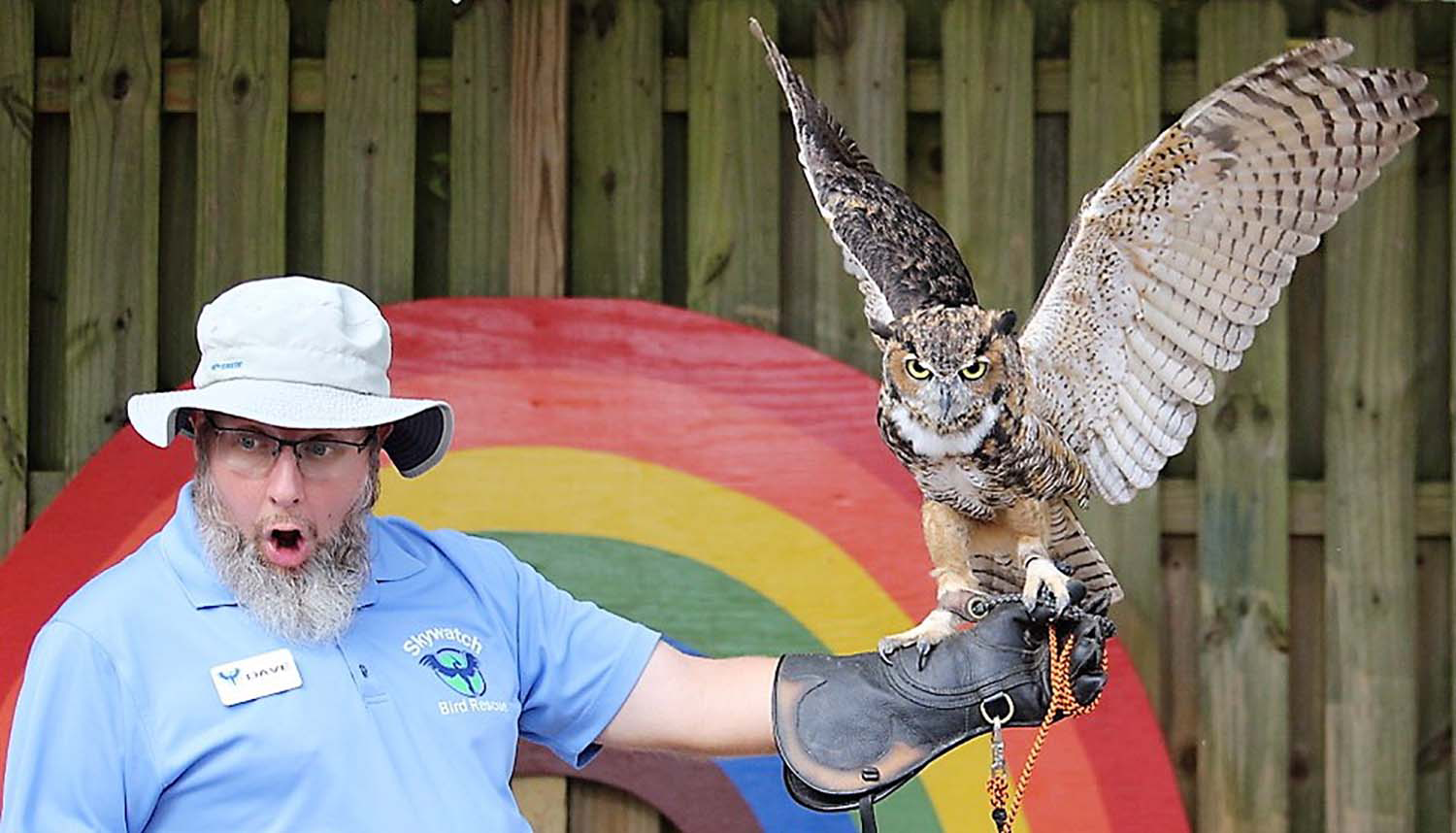 Dave Glenn, a Kenan Fellow alumn, holds a bird of prey as part of a demonstration for students.