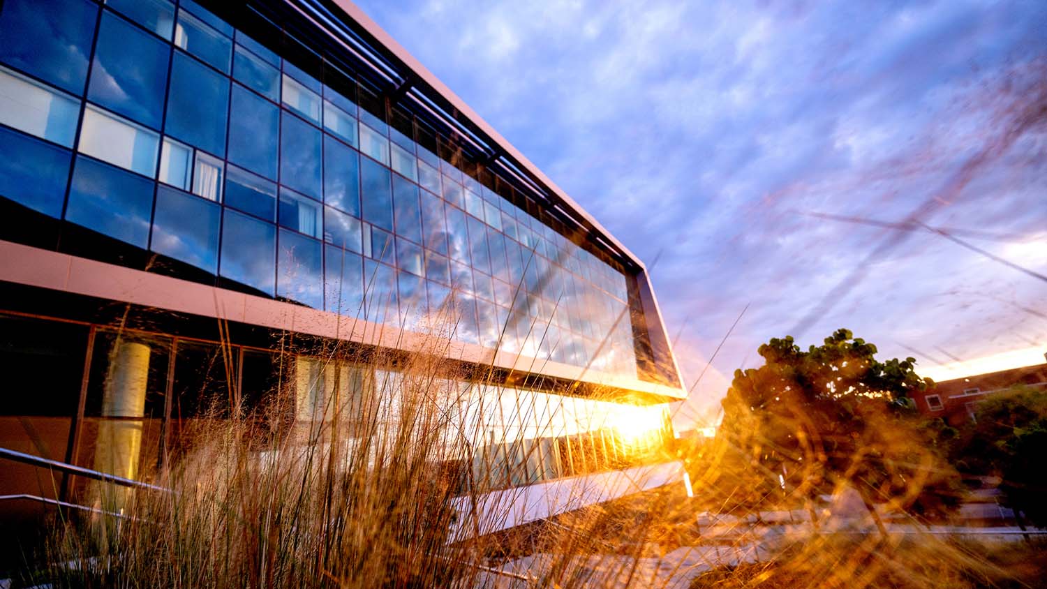 The sun sets on a warm summer evening on Centennial Campus at the Hunt Library. Photo by Becky Kirkland.