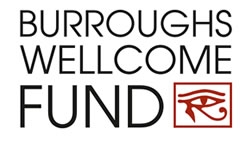 Burroughs Wellcome Fund logo