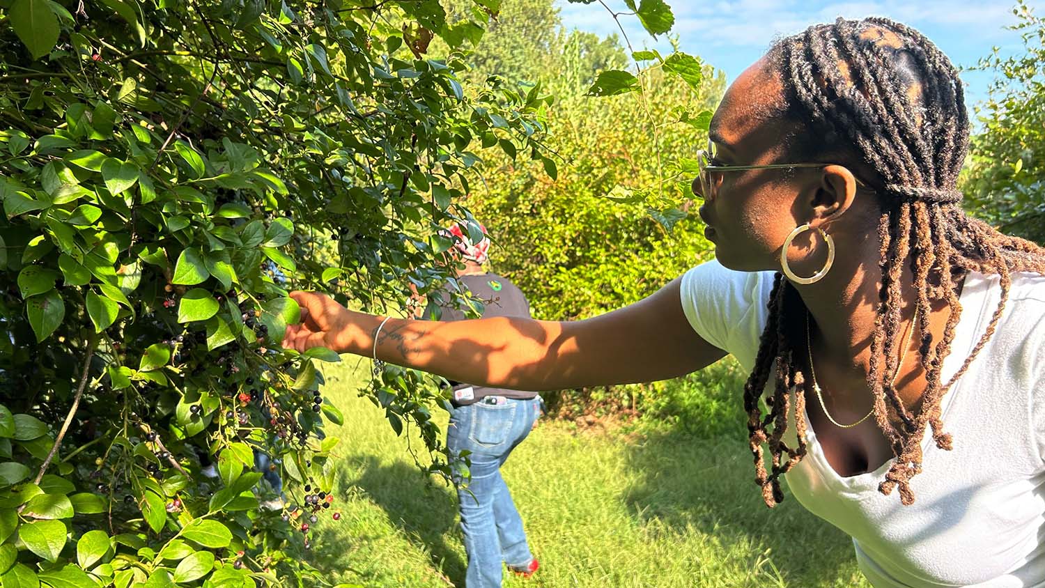 A teacher participating in STEMwork Connections visits an agribusiness in North Carolina.