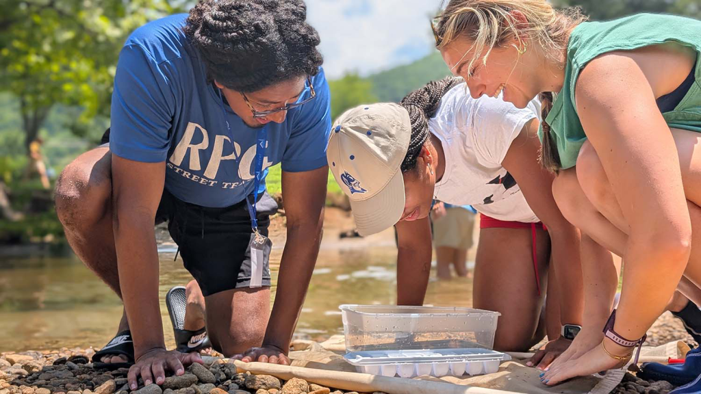 Kenan Fellows participate in a kick net water quality activity