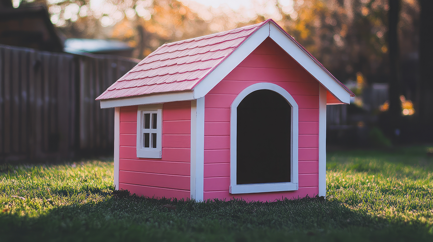 Pink Dog House in Lush Green Yard Surrounded by Nature